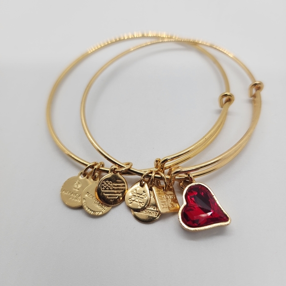 Alexa & Ani Gold Spacer & Heart Of Strentgh Bracelet - Picture 8 of 10